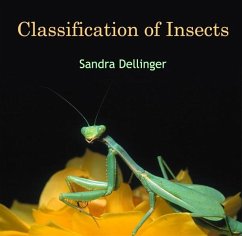 Classification of Insects (eBook, PDF) - Dellinger, Sandra