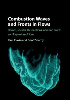 Combustion Waves and Fronts in Flows (eBook, PDF) - Clavin, Paul