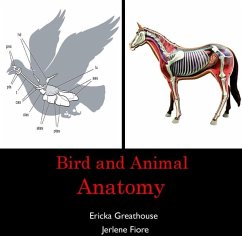 Bird and Animal Anatomy (eBook, PDF) - Greathouse, Ericka Fiore