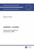 Idealbilder - Zerrbilder (eBook, PDF)