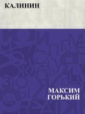 Kalinin (eBook, ePUB)