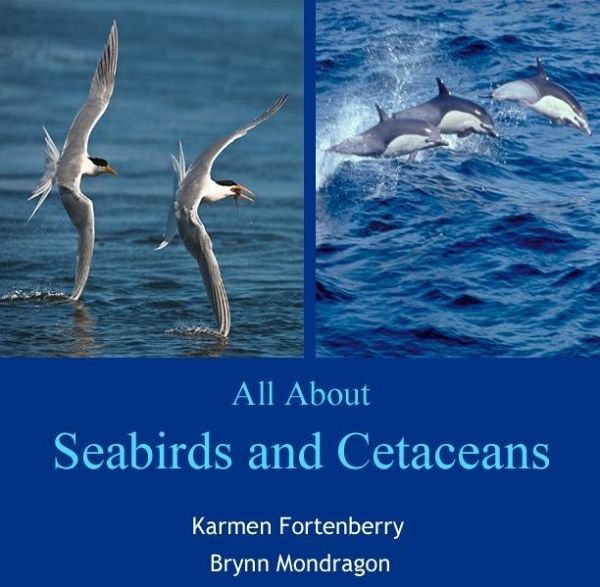 All About Seabirds and Cetaceans (eBook, PDF)