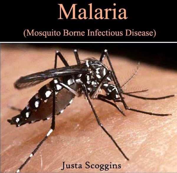 Malaria (Mosquito Borne Infectious Disease) (eBook, PDF)