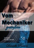 Vom Mechaniker gestoßen (eBook, ePUB)