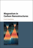 Magnetism in Carbon Nanostructures (eBook, PDF)