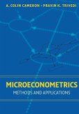 Microeconometrics (eBook, ePUB)