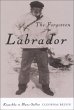 Forgotten Labrador (eBook, PDF) - Bild 1