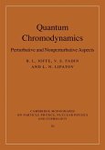 Quantum Chromodynamics (eBook, ePUB)