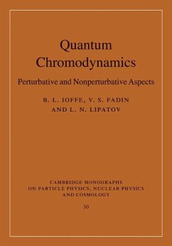 Quantum Chromodynamics (eBook, ePUB) - Ioffe, B. L.