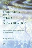 Drinking from the Wells of New Creation (eBook, PDF) Drinking from the Wells of New Creation (eBook, PDF)