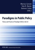 Paradigms in Public Policy (eBook, PDF)