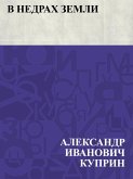 V nedrakh zemli (eBook, ePUB)