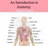 Introduction to Anatomy, An (eBook, PDF) - Bild 1