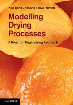 Modelling Drying Processes (eBook, PDF) - Chen, Xiao Dong