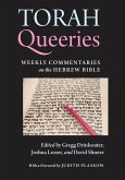 Torah Queeries (eBook, PDF)