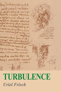 Turbulence (eBook, ePUB) - Frisch, Uriel