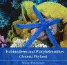 Echinoderm and Platyhelminthes (Animal... - Bild 1