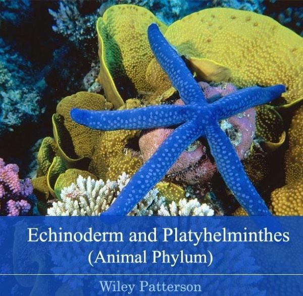 Echinoderm and Platyhelminthes (Animal Phylum) (eBook, PDF)