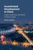 Incentivized Development in China (eBook, PDF)