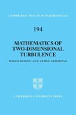 Mathematics of Two-Dimensional Turbulence (eBook, ePUB)