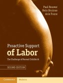 Proactive Support of Labor (eBook, ePUB)