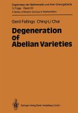 Degeneration of Abelian Varieties (eBook, PDF)