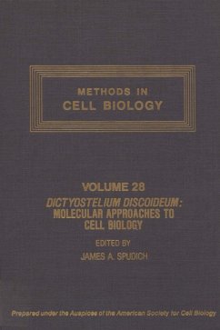 Cover Dictyostelium Discoideum: Molecular Approaches to Cell Biology (eBook, PDF)