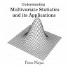 Understanding Multivariate Statistics... - Bild 1