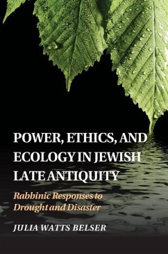 Power, Ethics, and Ecology in Jewish Late Antiquity (eBook, ePUB) - Belser, Julia Watts