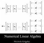 Numerical Linear Algebra (eBook, PDF)
