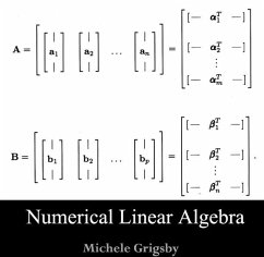 Numerical Linear Algebra (eBook, PDF) - Grigsby, Michele