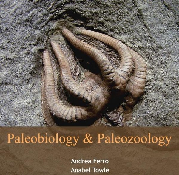 Paleobiology & Paleozoology (eBook, PDF) Paleobiology & Paleozoology (eBook, PDF)