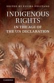 Indigenous Rights in the Age of the UN Declaration (eBook, PDF)