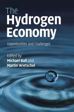 Cover Hydrogen Economy (eBook, ePUB)