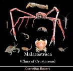 Malacostraca (Class of Crustacean) (eBook, PDF)