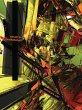 The Fourth Dimension and Non-Euclidean... - Bild 1