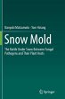 Snow Mold - Bild 1