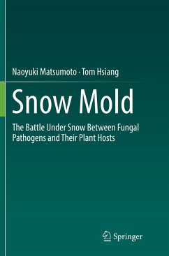 Snow Mold - Matsumoto, Naoyuki;Hsiang, Tom