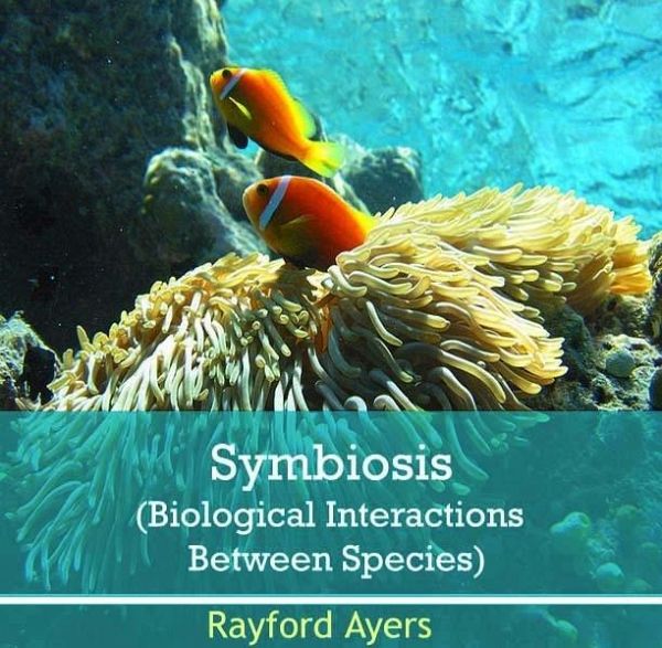 Symbiosis (Biological Interactions Between Species) (eBook, PDF)