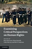 Examining Critical Perspectives on Human Rights (eBook, ePUB)