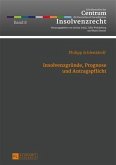 Insolvenzgruende, Prognose und Antragspflicht (eBook, PDF)