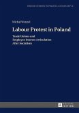 Labour Protest in Poland (eBook, PDF)
