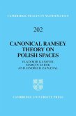 Canonical Ramsey Theory on Polish Spaces (eBook, ePUB) Canonical Ramsey Theory on Polish Spaces (eBook, ePUB)