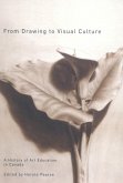 From Drawing to Visual Culture (eBook, PDF)