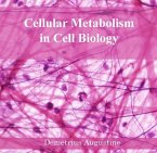 Cellular Metabolism in Cell Biology (eBook, PDF)