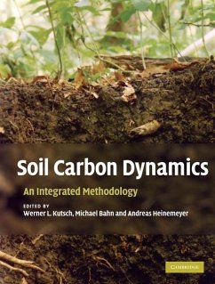 Soil Carbon Dynamics (eBook, ePUB)
