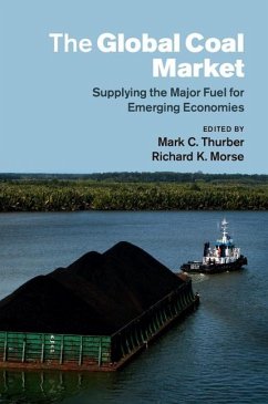 Cover Global Coal Market (eBook, ePUB)