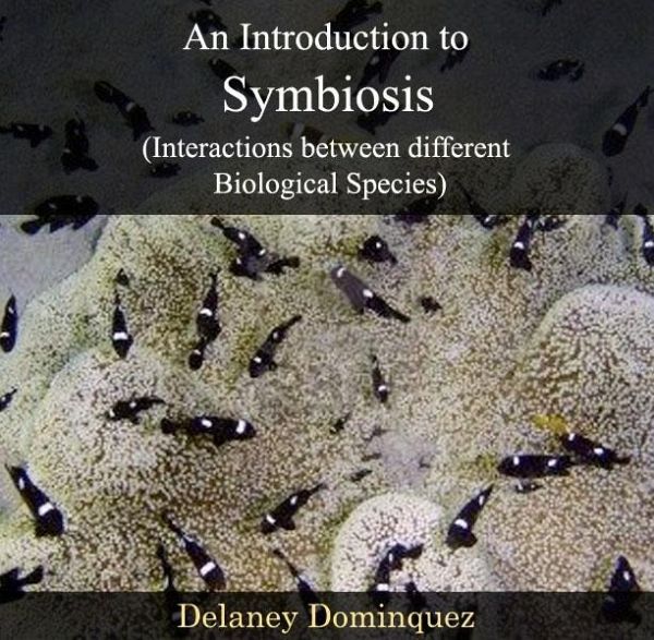 Introduction to Symbiosis (Interactions between different Biological Species), An (eBook, PDF) Introduction to Symbiosis (Interactions between different Biological Species), An (eBook, PDF)