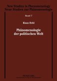 Phaenomenologie der politischen Welt (eBook, PDF)