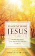 Encountering Jesus (eBook, ePUB) - Bild 1
